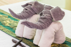 Slony z uterákov